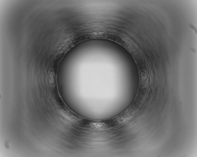 X0000097770654200803211737