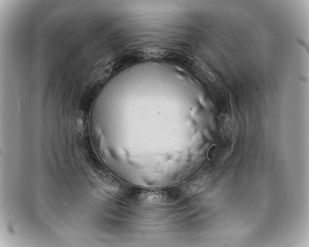 X0000097770655200803211737