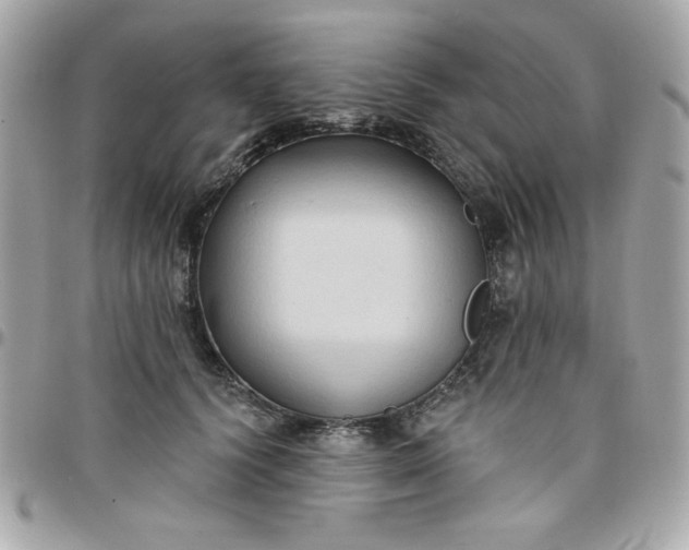 X0000097770656200803211738