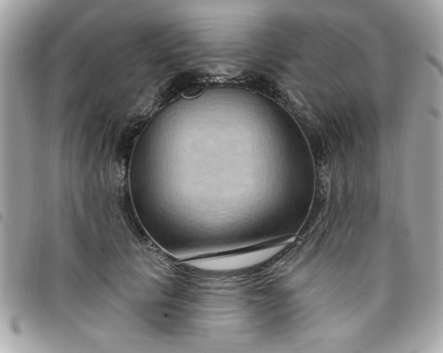 X0000097770657200803211738