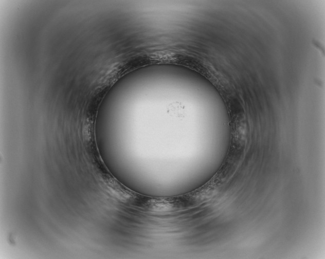 X0000097770658200803211738