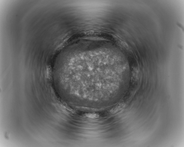 X0000097770659200803211738