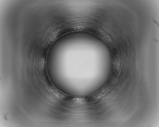 X0000097770660200803211738