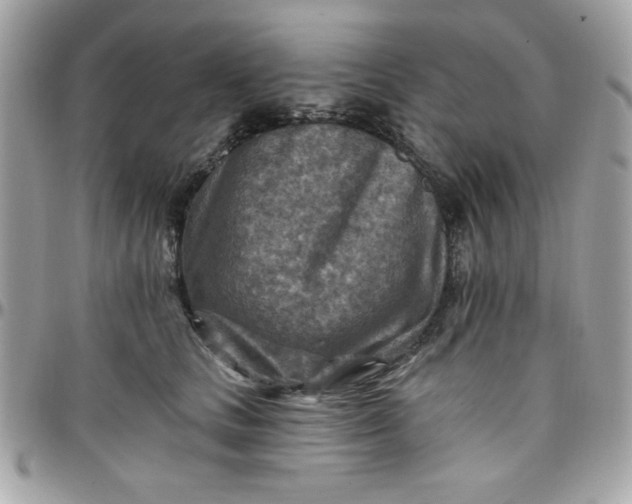 X0000097770661200803211738