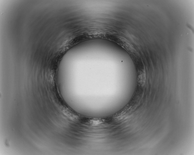 X0000097770662200803211738