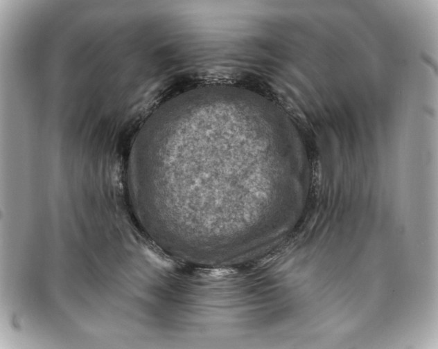 X0000097770663200803211738