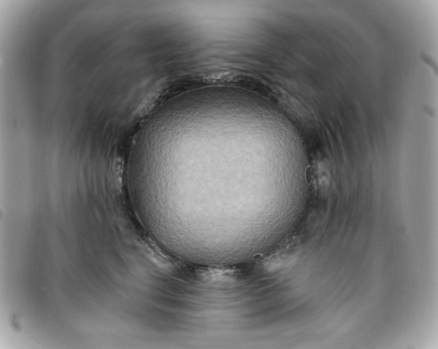 X0000097770664200803211738