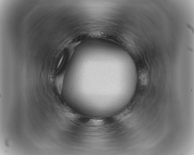 X0000097770665200803211738