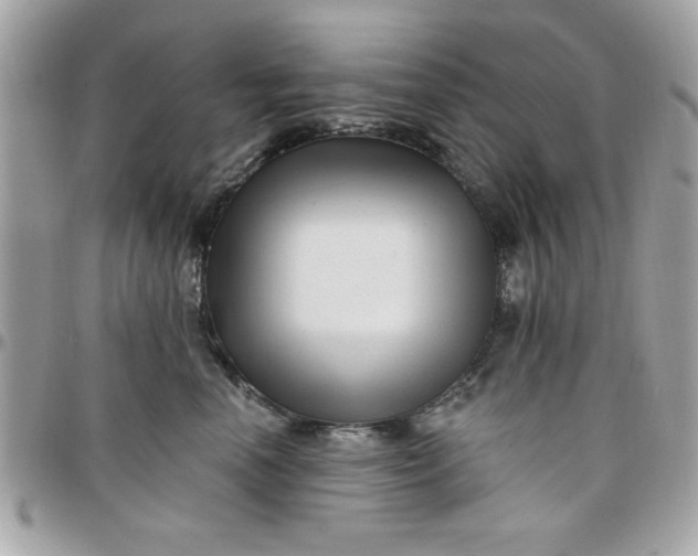 X0000097770666200803211738