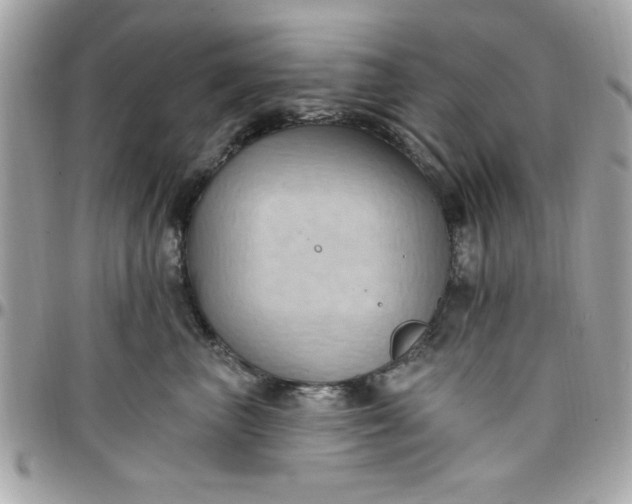 X0000097770667200803211738