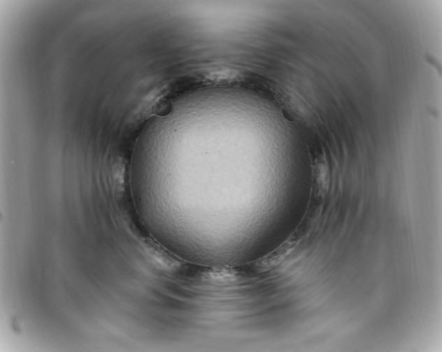 X0000097770668200803211738