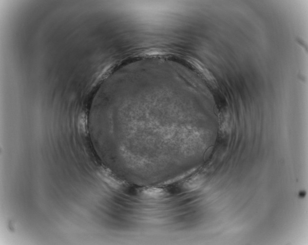 X0000097770669200803211738