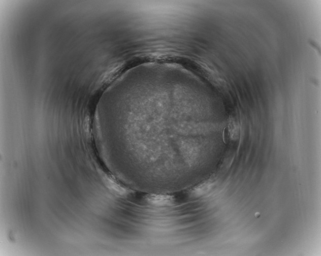 X0000097770670200803211738