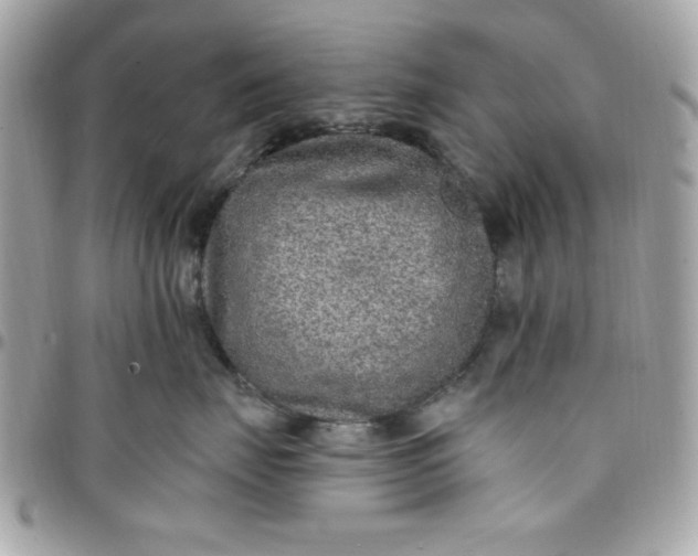 X0000097770671200803211738