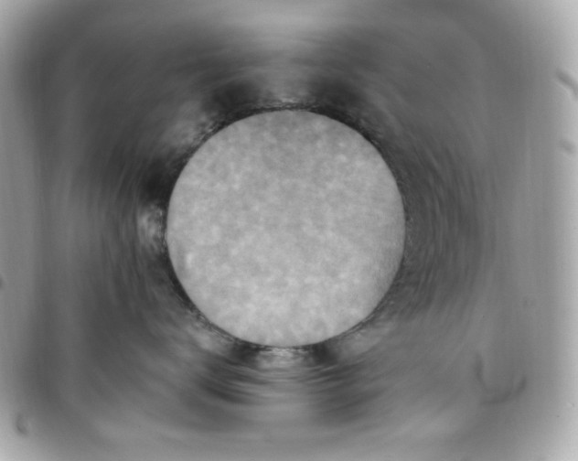 X0000097770672200803211738