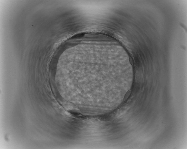 X0000097770673200803211737