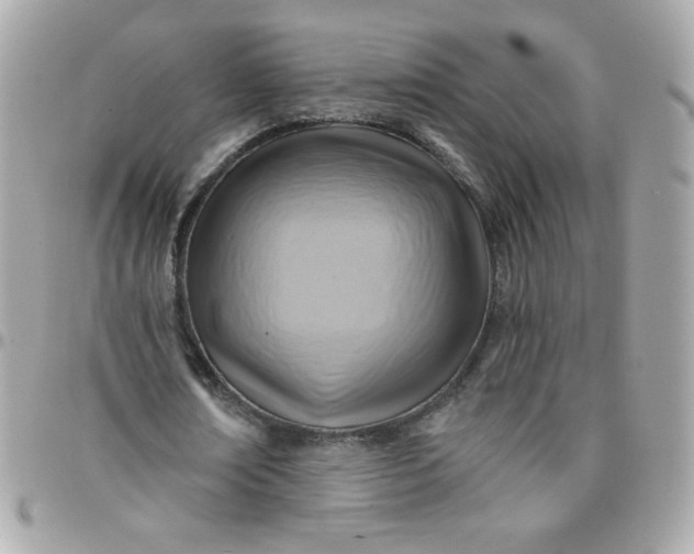 X0000097770674200803211737