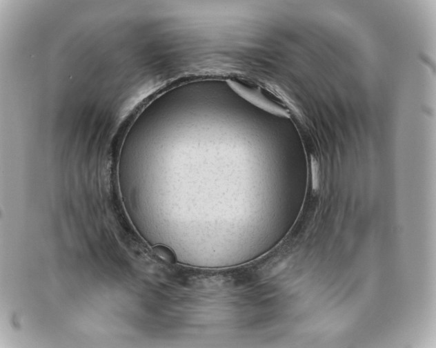 X0000097770675200803211737