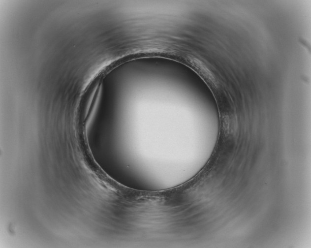 X0000097770676200803211737