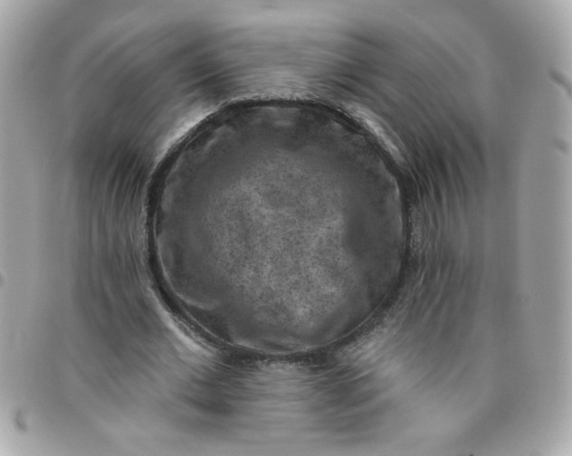 X0000097770677200803211737