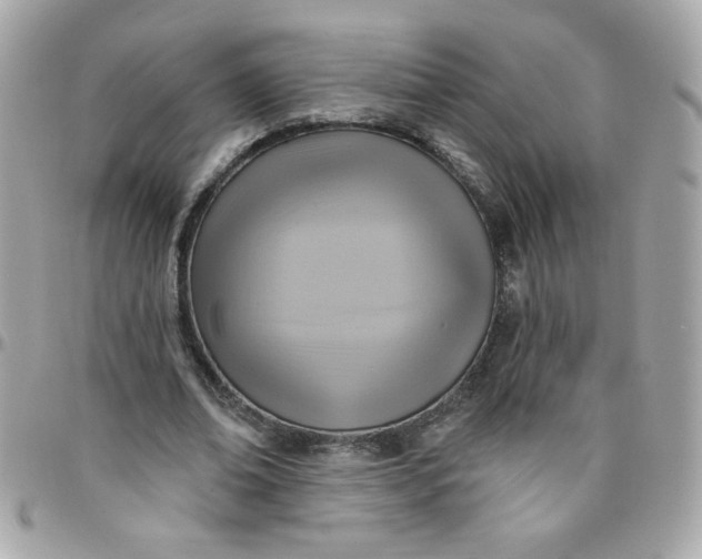 X0000097770678200803211737