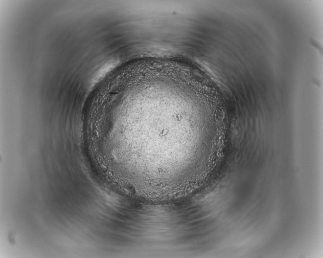 X0000097770679200803211737