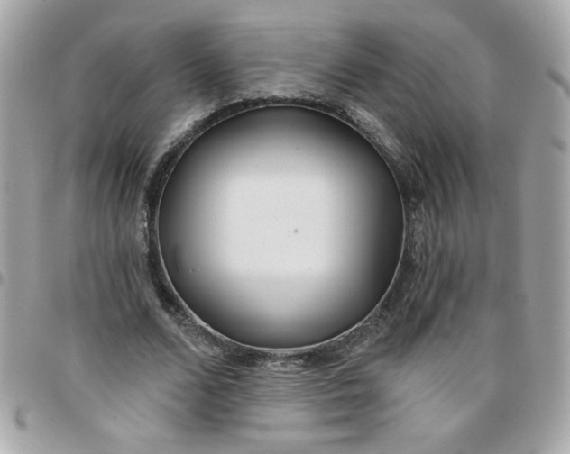 X0000097770680200803211737