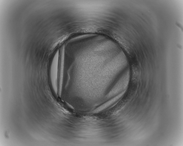 X0000097770681200803211737