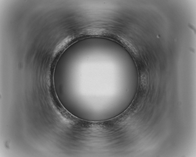 X0000097770682200803211737