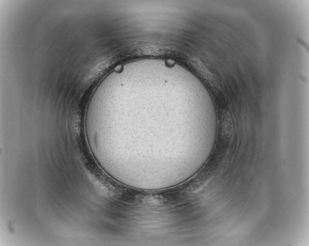 X0000097770683200803211737