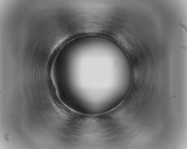 X0000097770684200803211737