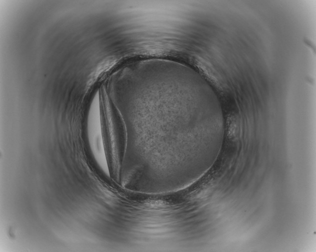 X0000097770685200803211737