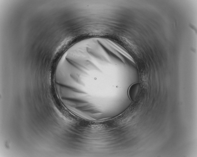 X0000097770686200803211737