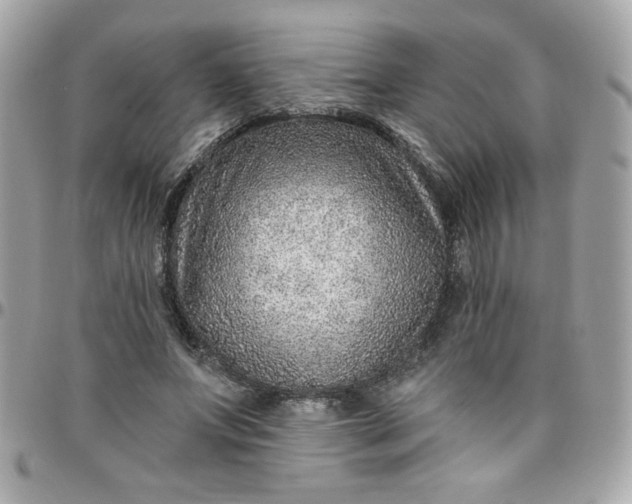 X0000097770687200803211737