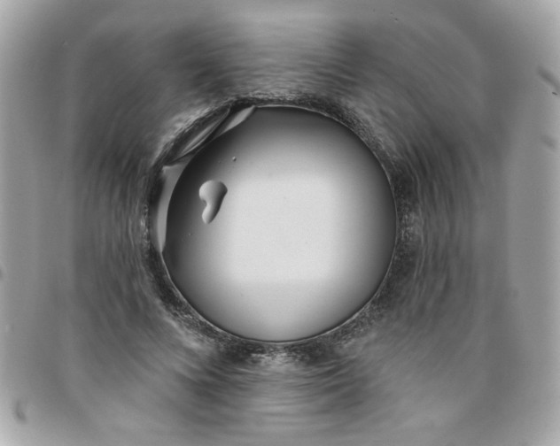 X0000097770688200803211737