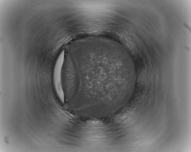 X0000097770689200803211737