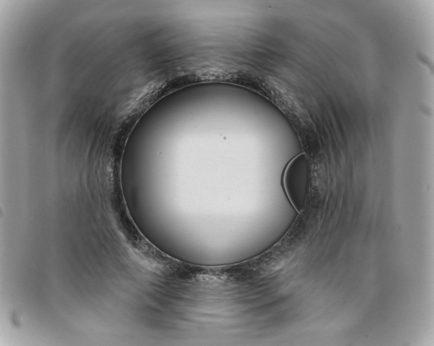 X0000097770690200803211737