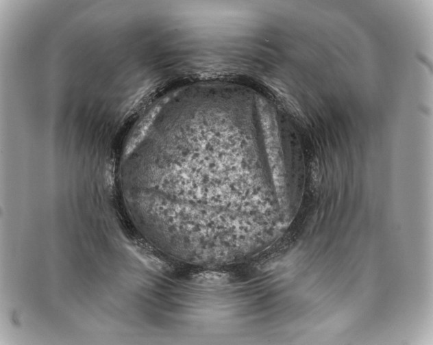 X0000097770691200803211737