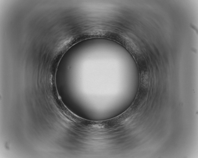 X0000097770692200803211737