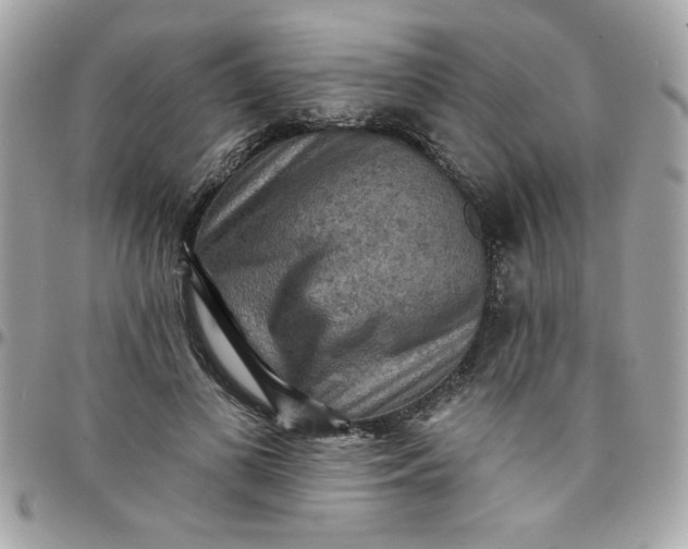 X0000097770693200803211737