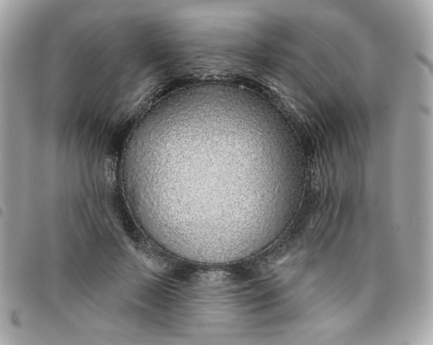 X0000097770695200803211737