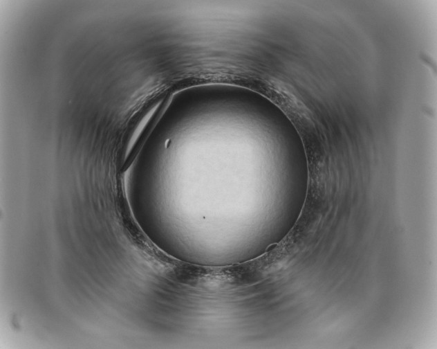 X0000097770696200803211737