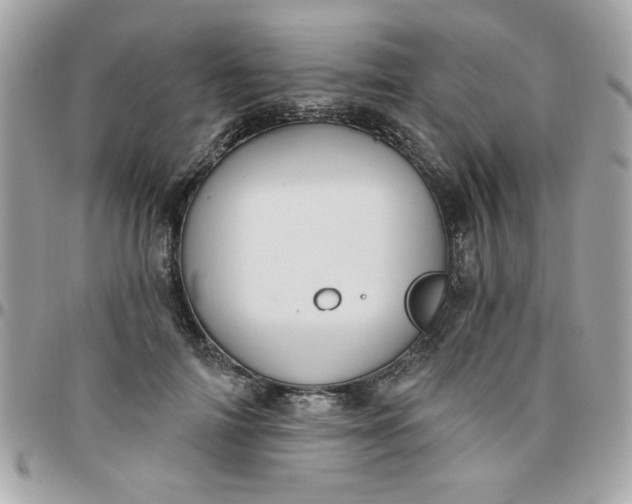 X0000097770698200803211737