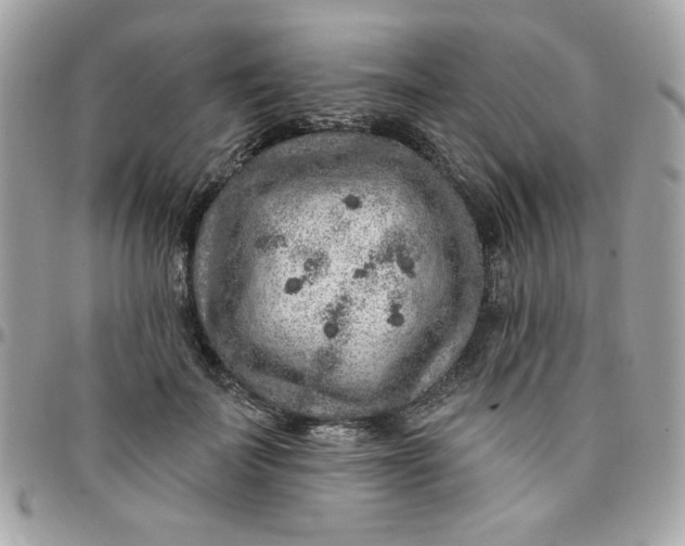 X0000097770699200803211737