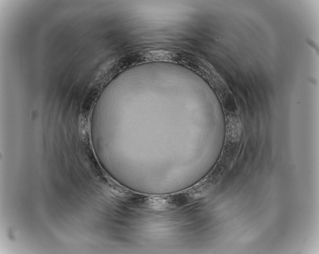 X0000097770701200803211737