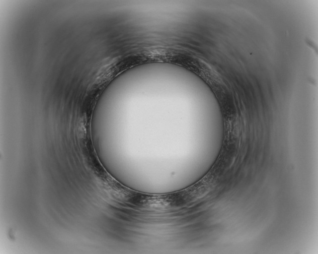 X0000097770702200803211737