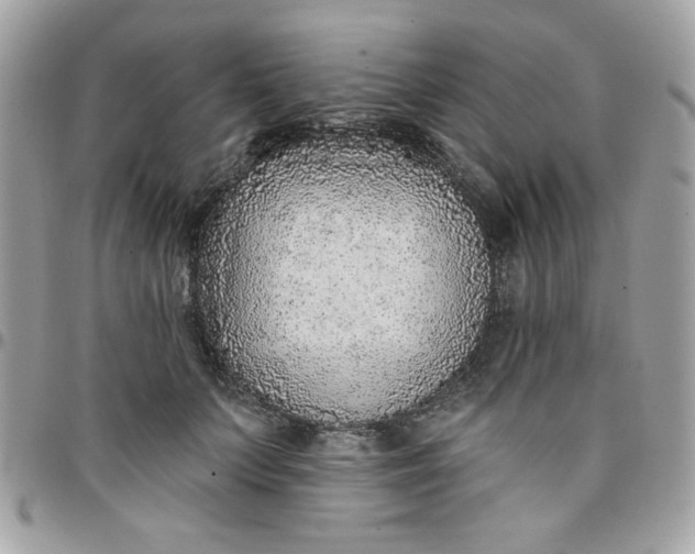 X0000097770703200803211737