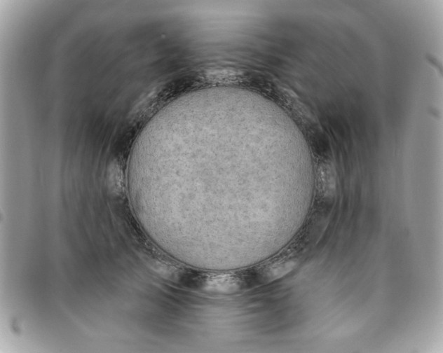 X0000097770705200803211737