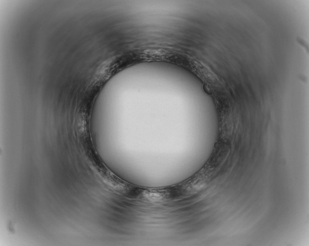 X0000097770706200803211737