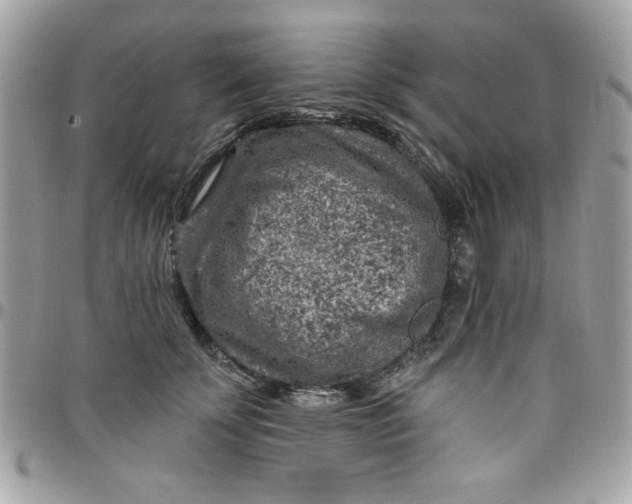 X0000097770707200803211737